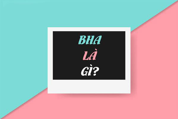 BHA-la-gi-01